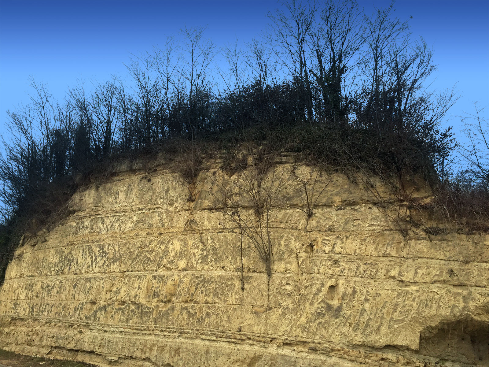 Tenuta Carretta | The soils of the Langhe