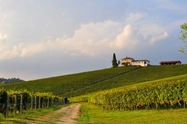 Cantine Aperte Tenuta Carretta