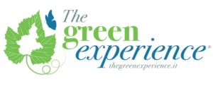 Green experience logo