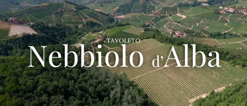 Le vigne di Tavoleto a San Rocco Seno d'Elvio