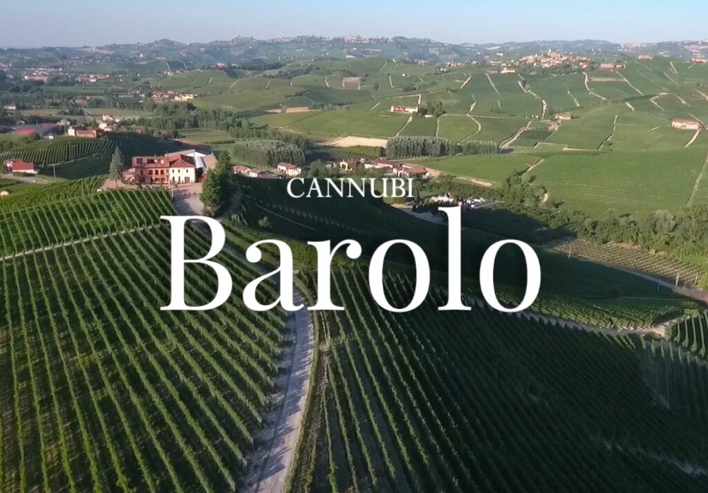 Cannubi, the hill “in the heart of Barolo”